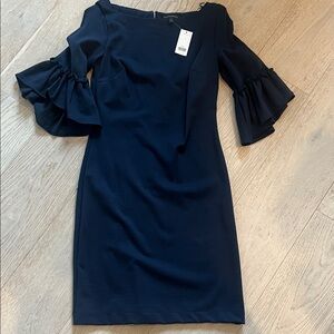 Banana Republic Elegant Navy Ruffle Sleeve Dress - NWT Size 4
